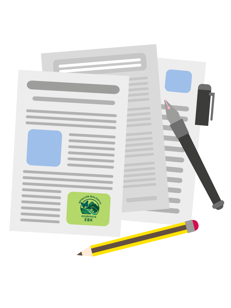 documento-sin-imagen